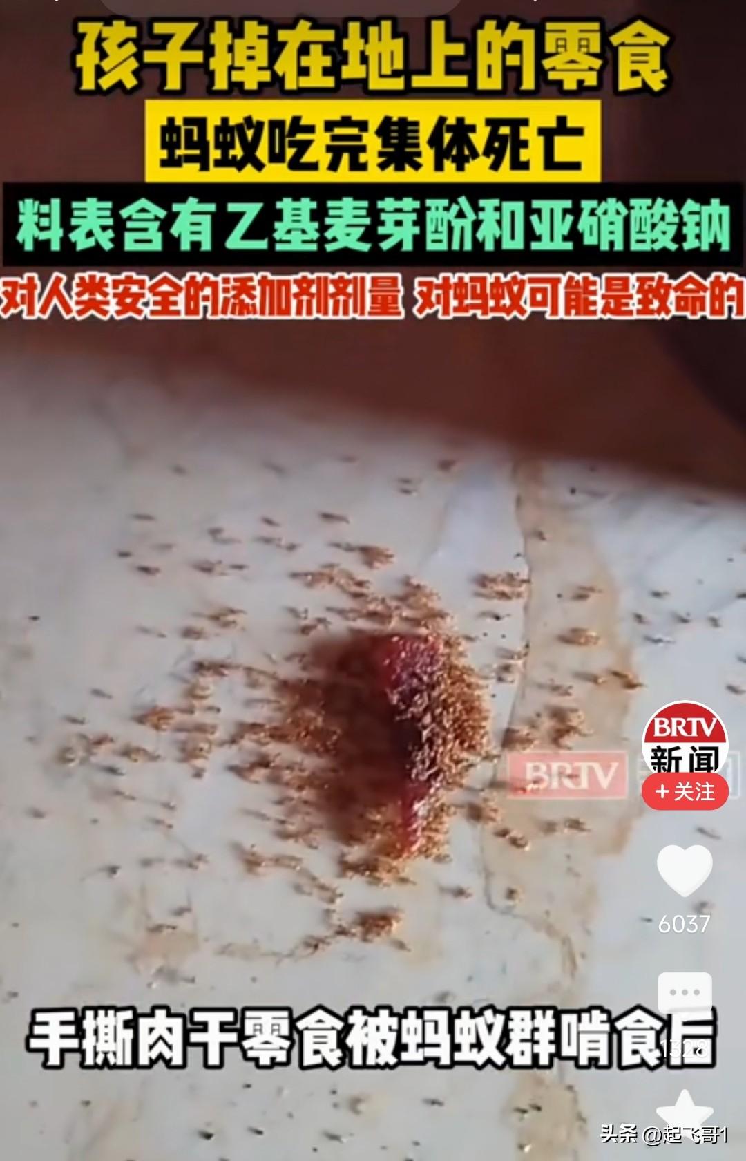 这是巧合吗？孩子吃掉的零食蚂蚁啃食后集体死亡，孩子吃的零食表里含有乙基麦芽酚和亚