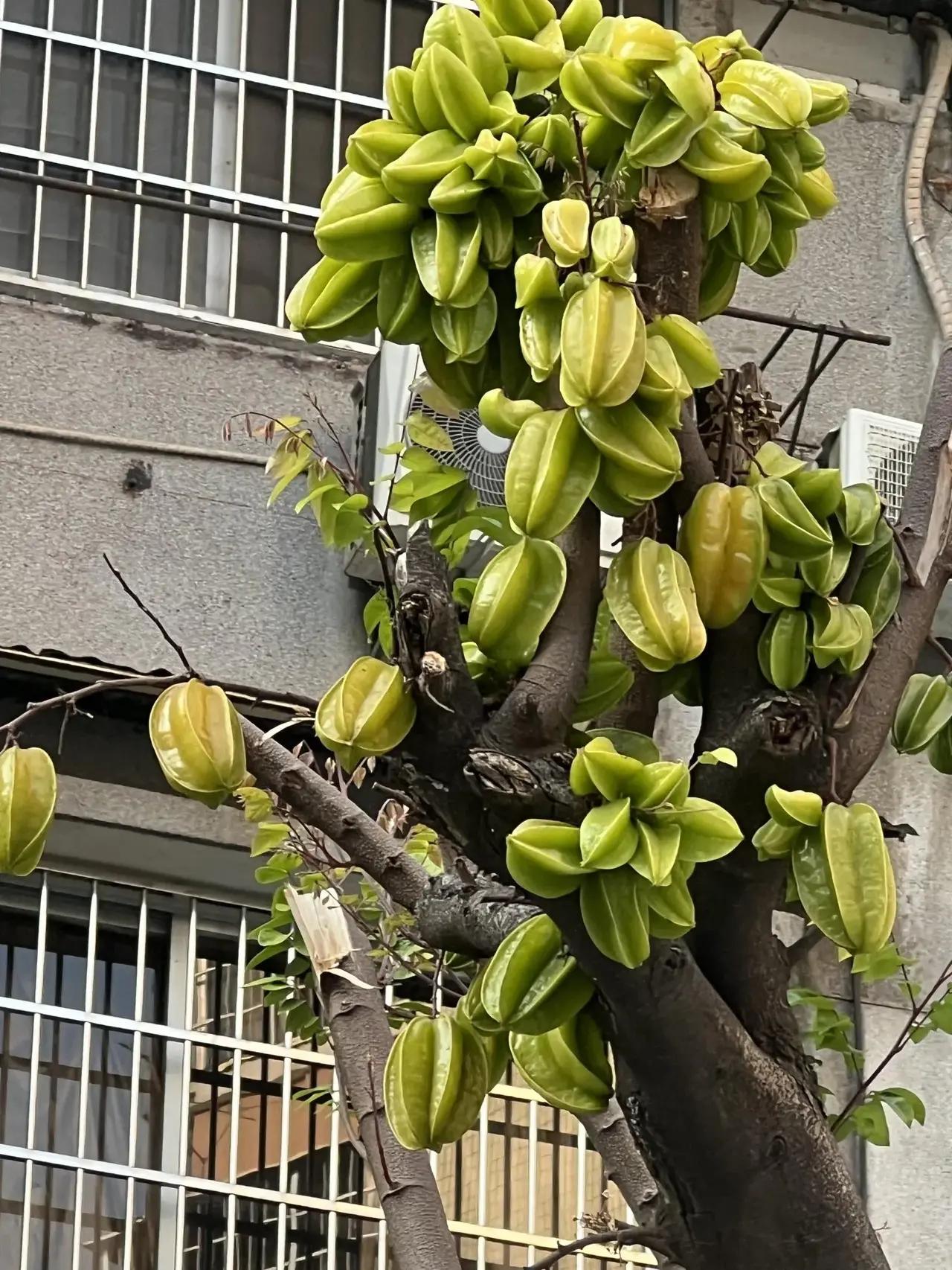 原来一代人的深情，从不是轰轰烈烈的告白，而是藏在烟火岁月里，一辈子的默默相守。