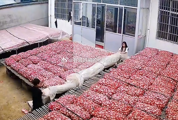 父母以为蒜被雨淋了孩子给盖好了蒜所以自古儿女双全是大喜事男女搭配干活不累，虽然这