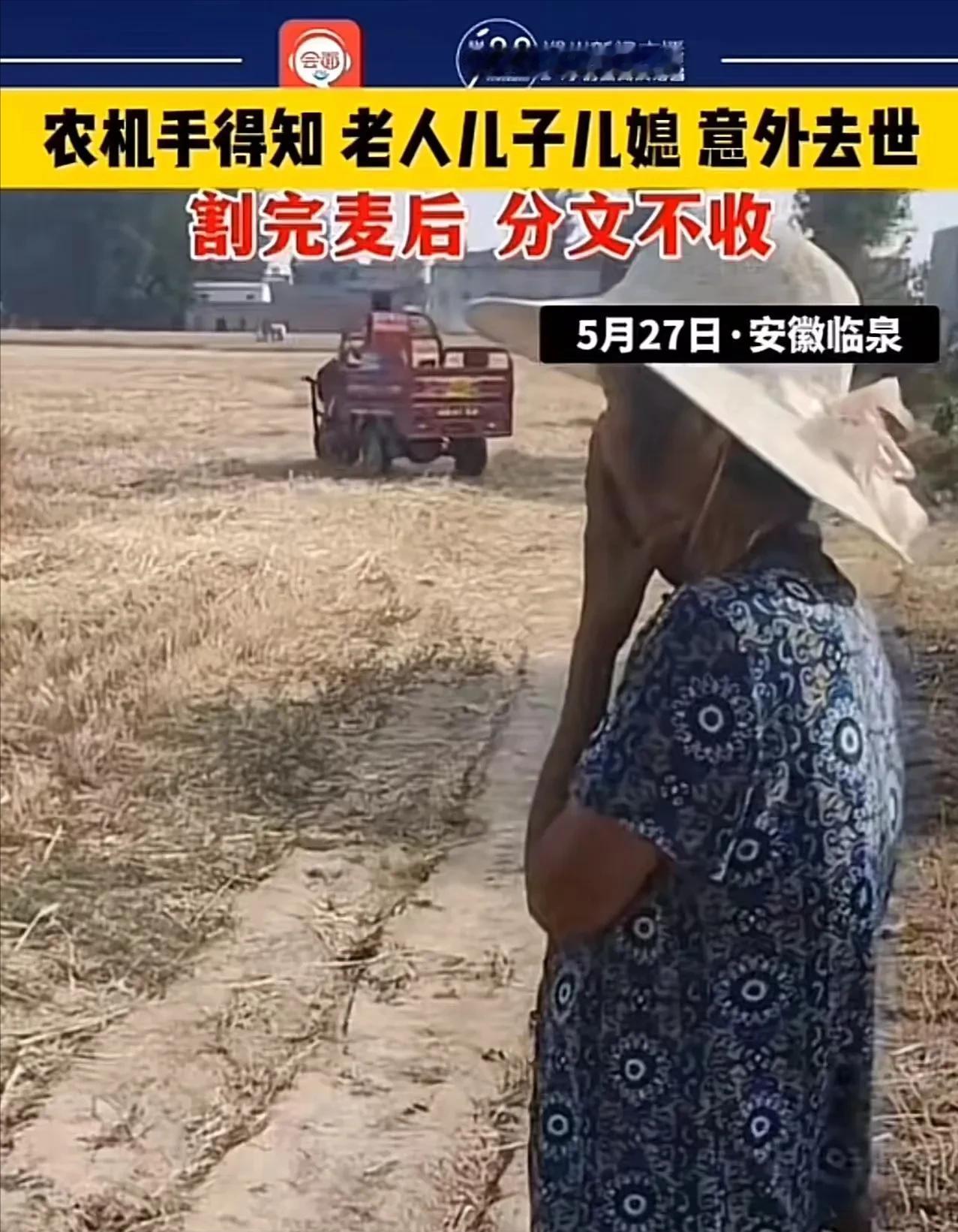 “眼泪止不住了！”安徽，美女农机手给 85 岁老人割麦时，得知老人的儿子儿媳全部