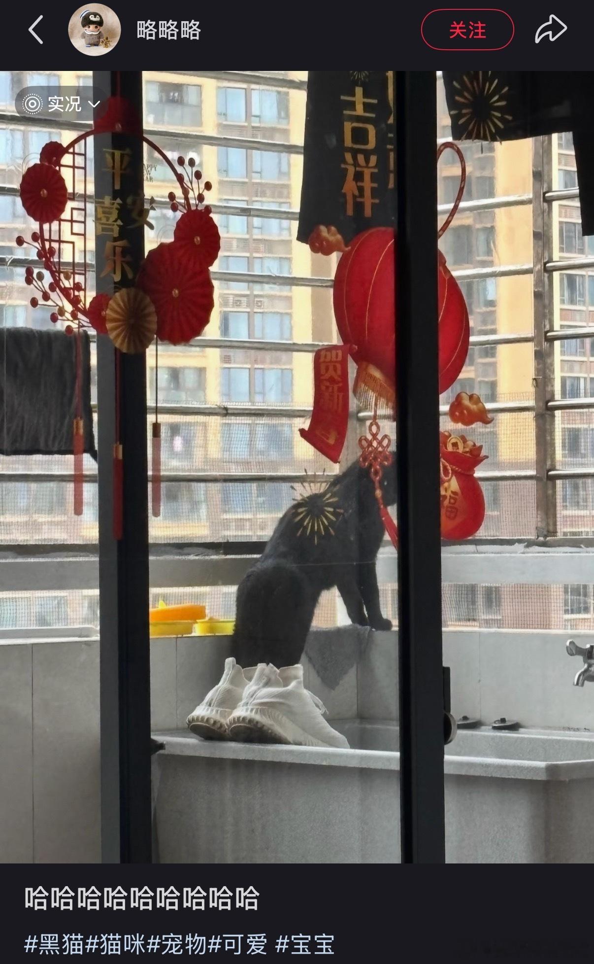 怎么练的臀 