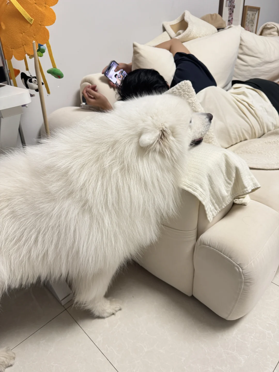 你咋了