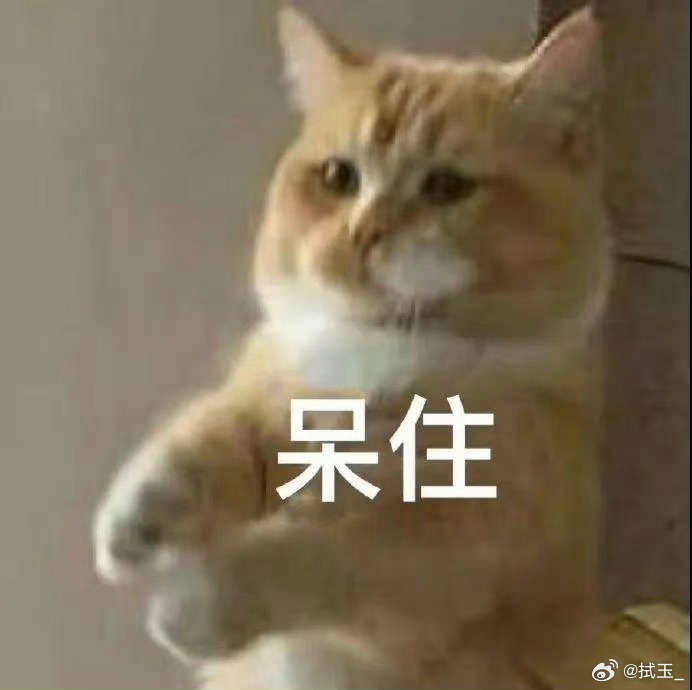 我就想知道，为什么我的聊天记录、搜索记录、甚至随口说的话，能这么快变成各个APP