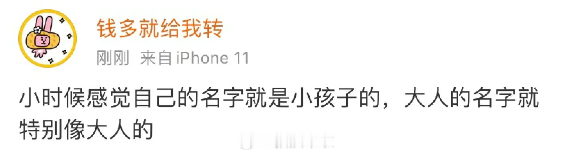 小时候感觉自己的名字就是小孩的，曾经我以为我长大要重新起名字，起一个大人的名字 