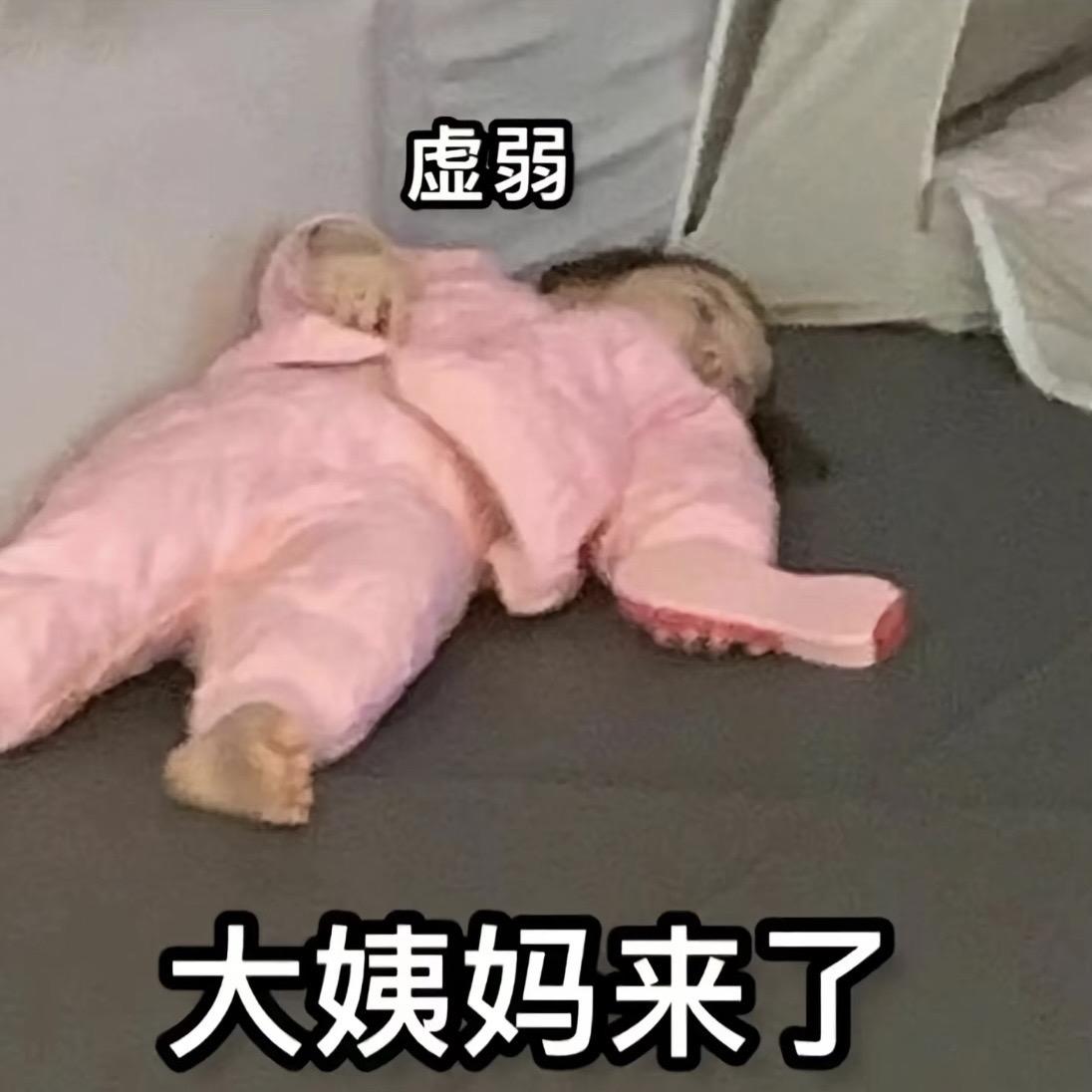 你好，如果这几天看到我在播，说明还能挺住。多关心一下我，如果看不到的话...