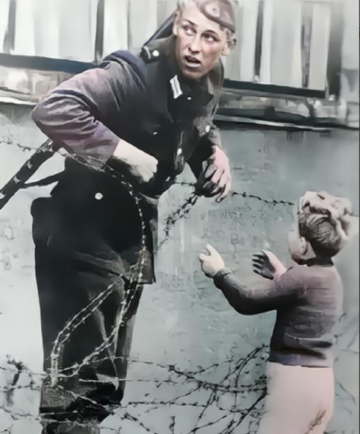 1961年，一名东德士兵，为一个素不相识的小男孩，冒险拉开柏林墙上的一道防线。谁