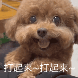 古二和墨镜王网络舆论之争最受伤的就是cdm，一辈子致力于清高文化人文艺人设，结果