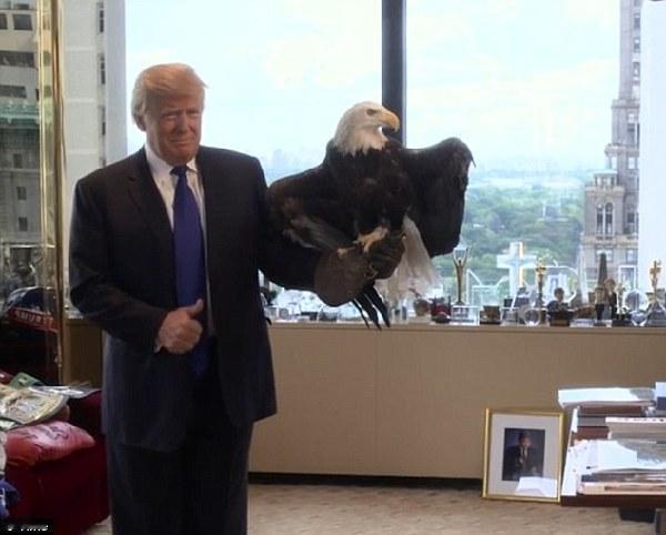 美国总统特朗普暗示大陆，可以解放台湾了！在近期，关于台海议题，特朗普公然表示，台