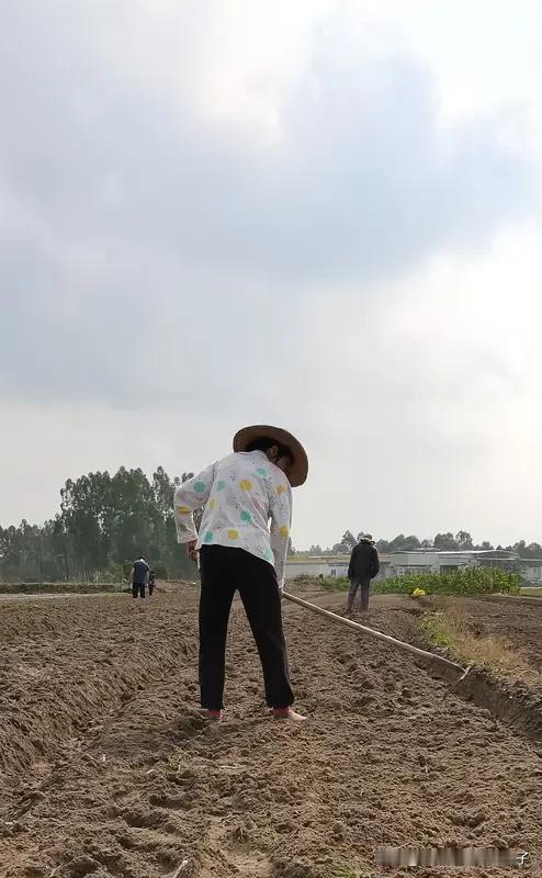 现在农民种地能不能赚到钱，不能一概而论。
像陕西黄龙县，曾是典型山区农业县，人均