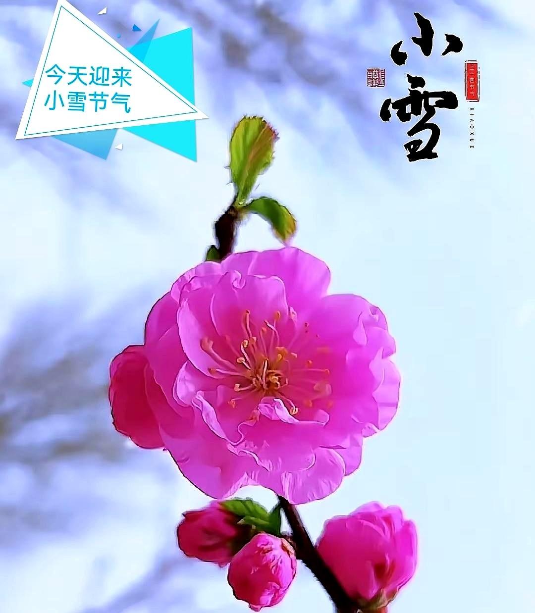 今天阳历11月廿二，今天农历十月初三；今天双休日星期六，今天迎来小雪节气。
注意