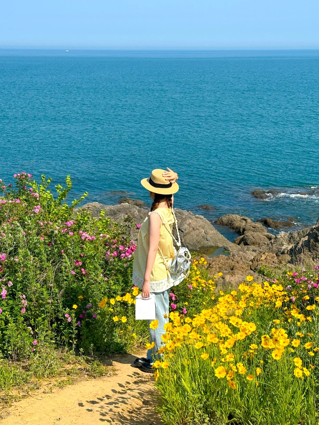 5.29实况~通往大海的花路开好了🫶🏻🫧🌼