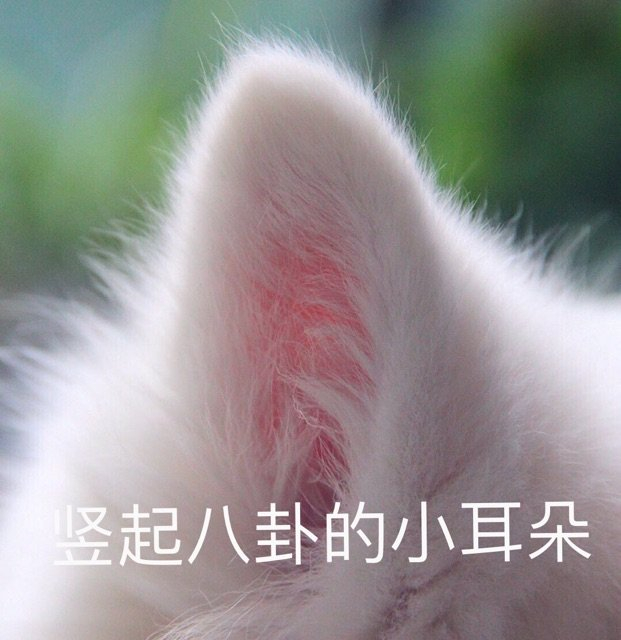 #每天一条冷知识#  人类从听觉中获取信息的效率要远远高于视觉，这也是为什么听讲