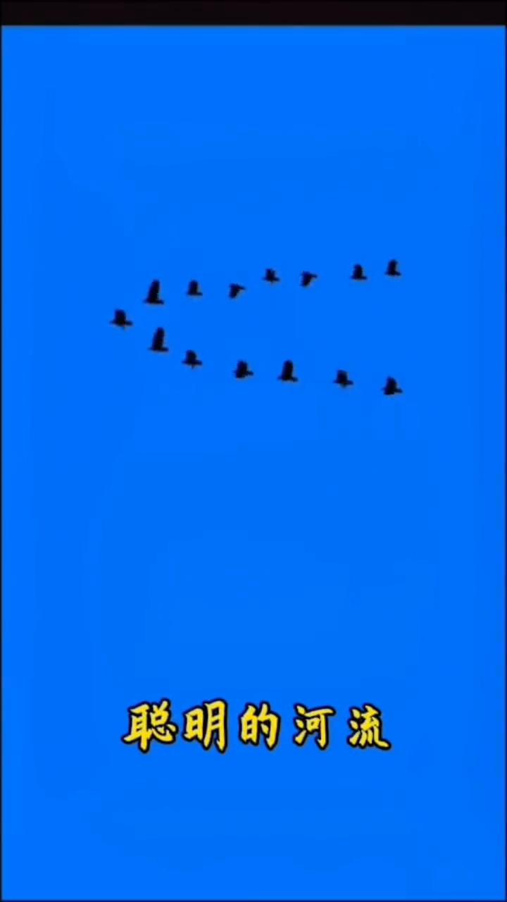 聪明的河流。
生活在喜怒哀乐间走走停停，不知道会遇见什么，不知道会遇见什么，知道
