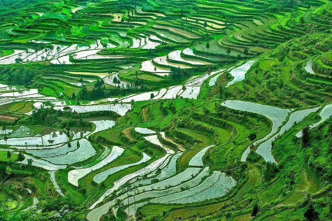 浙江·茗岙，云雾缭绕的山野村庄，构成了一幅绝美的画卷。