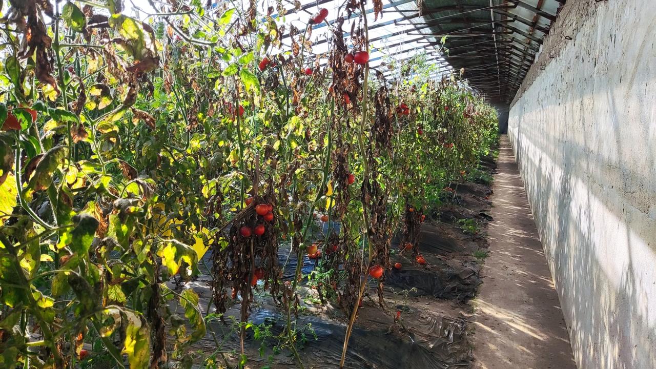 太冷了🥶🥶🥶🥶