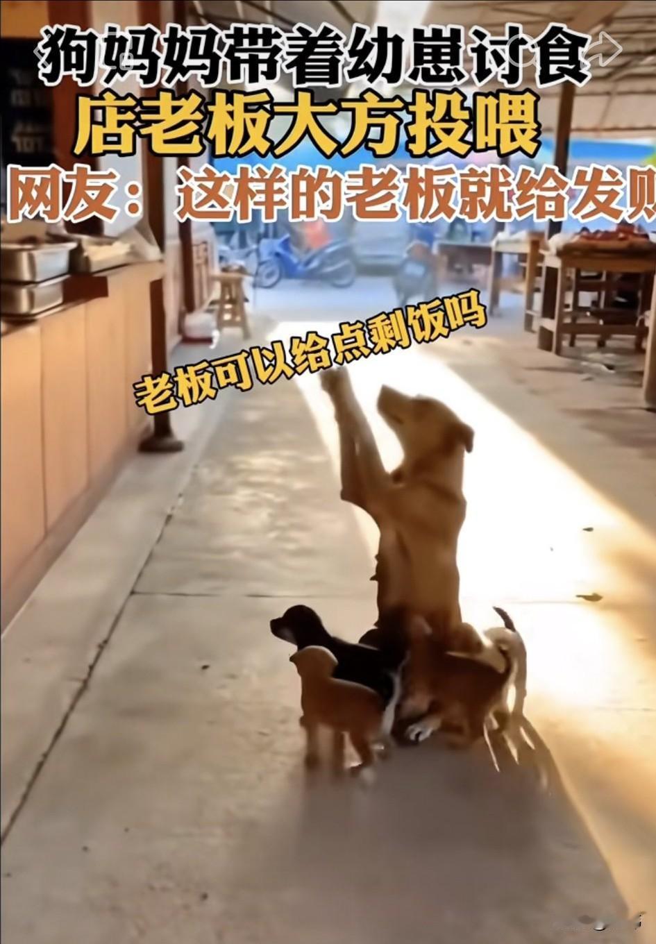 一位阿姨开了一家早餐铺子，平时生意也还可以，这天一大早，她和往常一样在铺子里忙碌