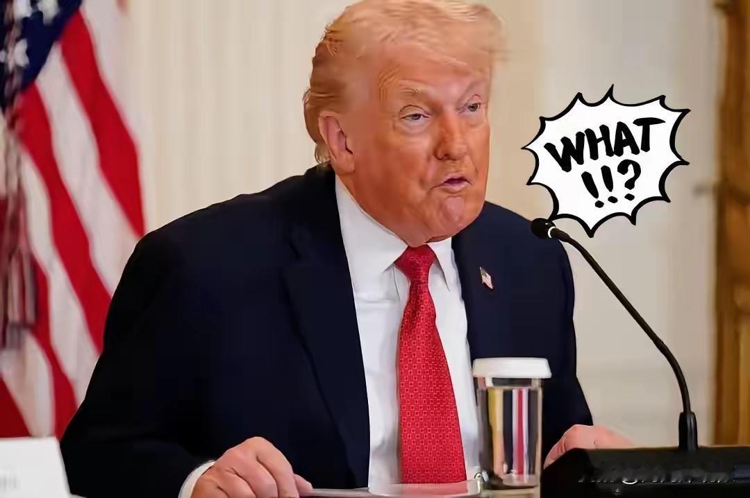 王冲预测特朗普1月20日死是不是也有靠点谱？
        老特1.20号去坐