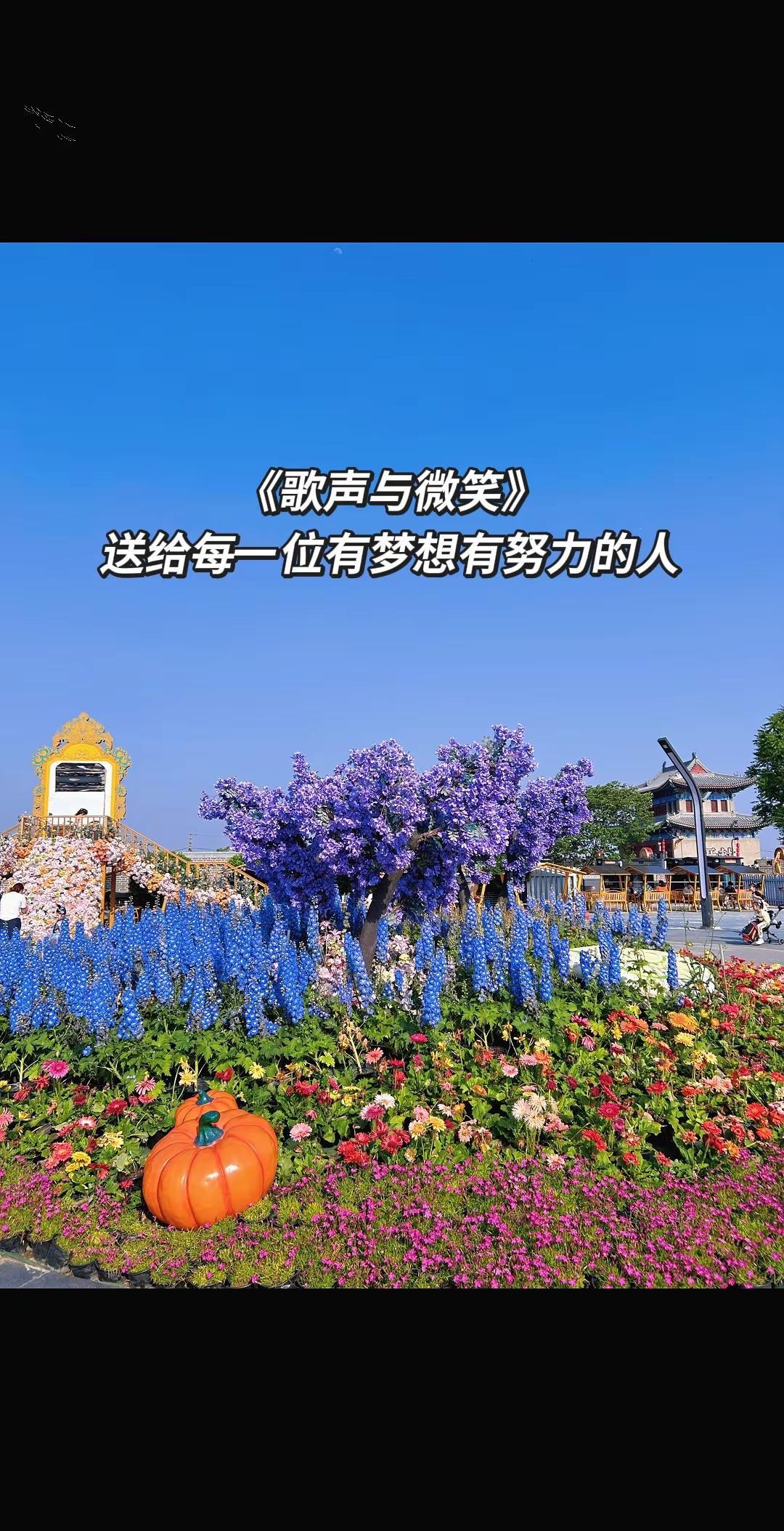 杨紫熬了这么多年，终于获得了白玉兰奖，为她感到开心。杨紫白玉兰视后