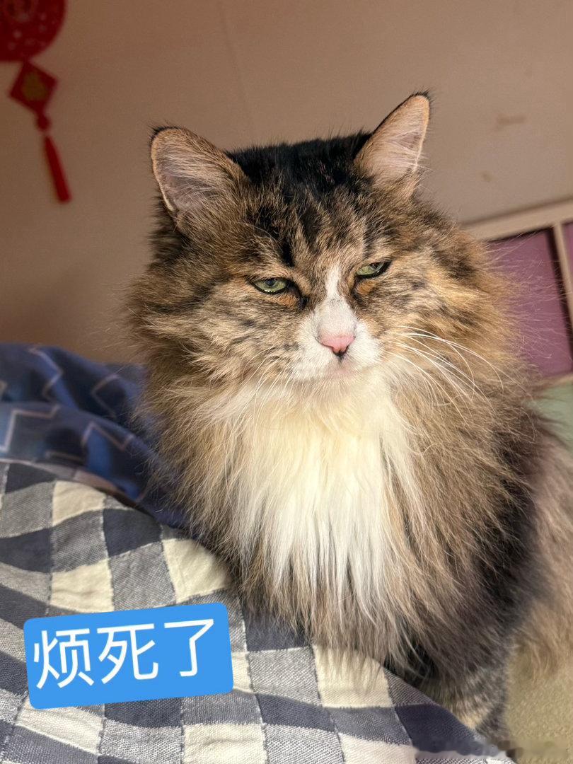 要不是有证，真想离家出走。赵老师攒了有几十根电源线了，我认识他之前的电源线都还留