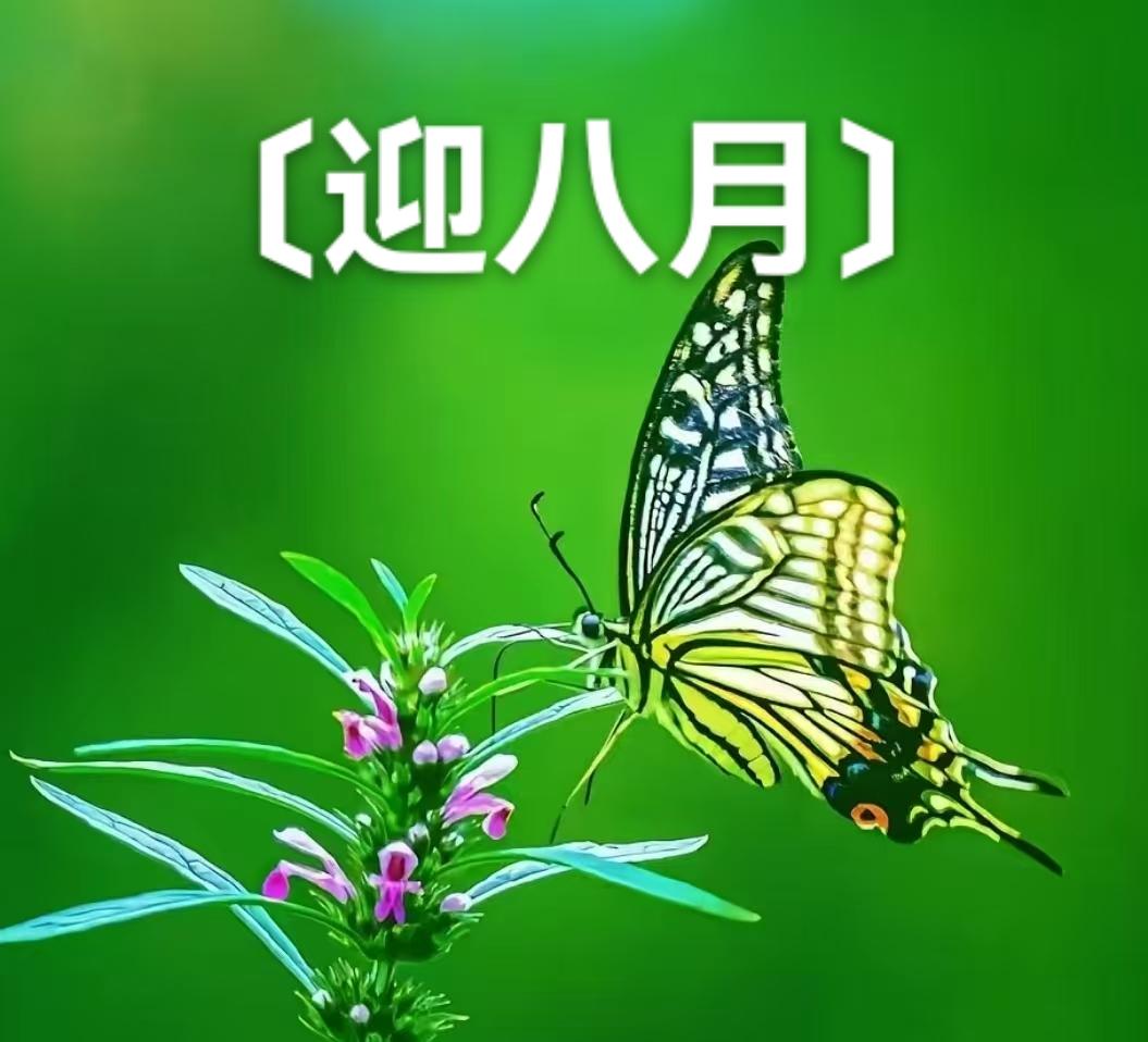 〔迎八月〕
一天一日流年快，
转瞬循环礼拜排，
碌碌奔波迎八月，
立秋隐隐近尘埃