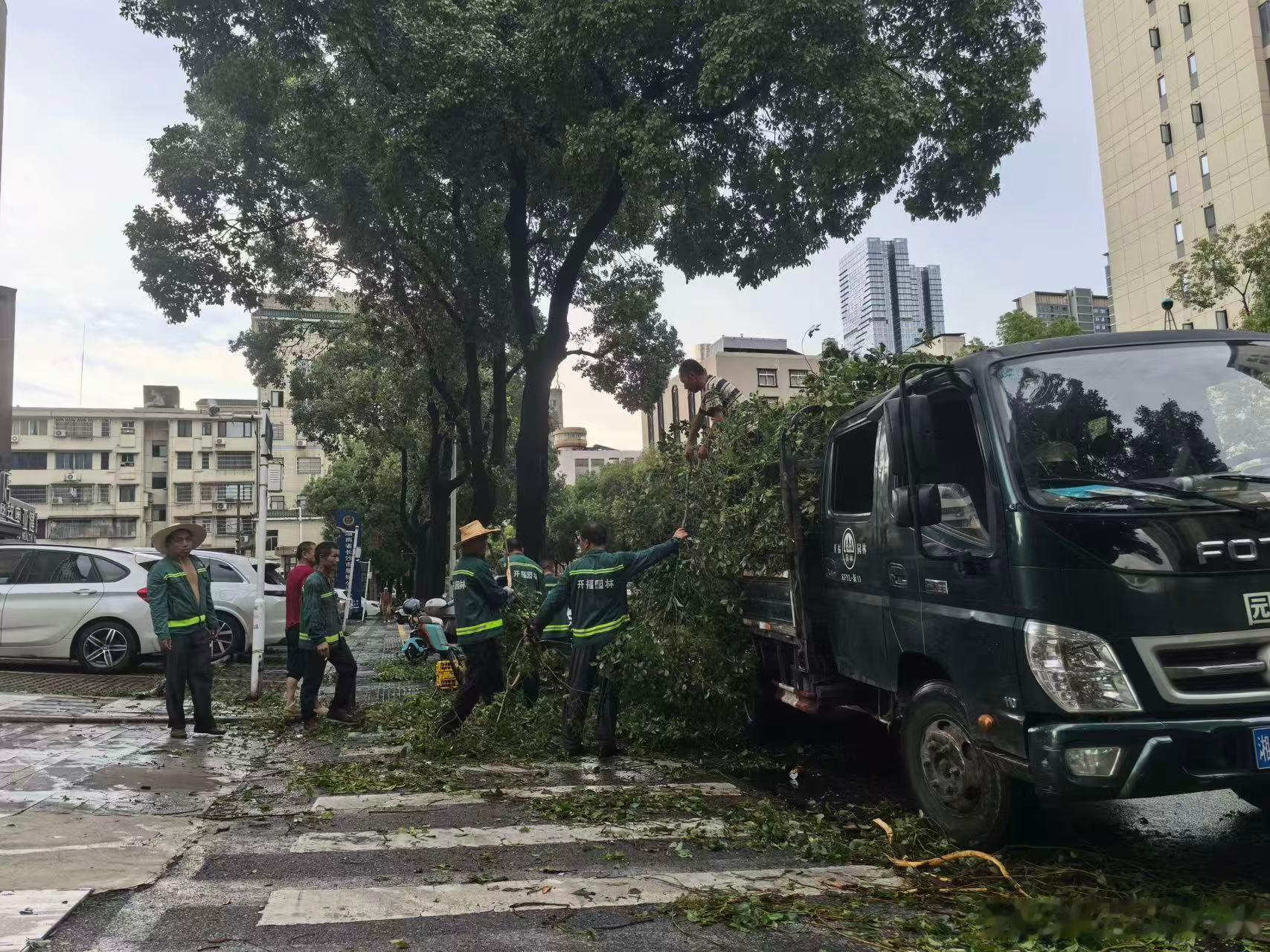 台风红霞来袭长沙城管在行动【逆风前行，长沙城管全力以赴筑牢安全防线】台风“红霞”