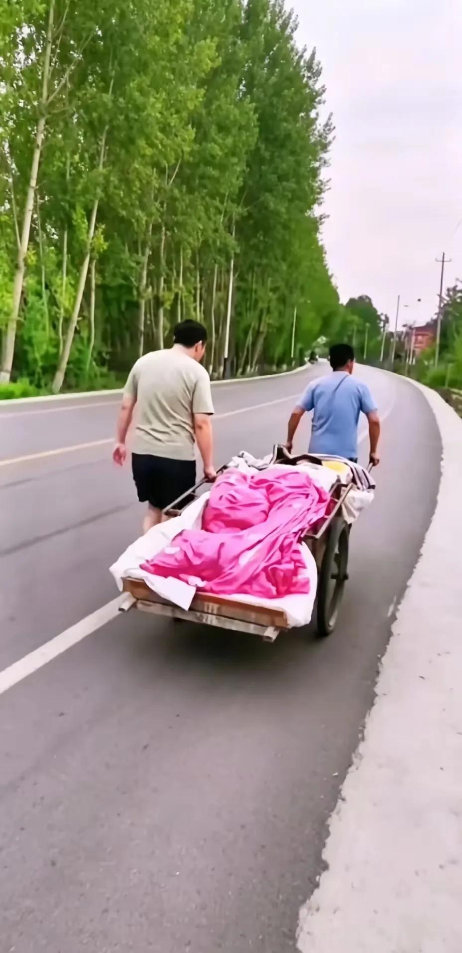 乡下八十多岁的老娘生病了，可她有晕车的毛病，无论什么车都不能坐。两个儿子借了一辆