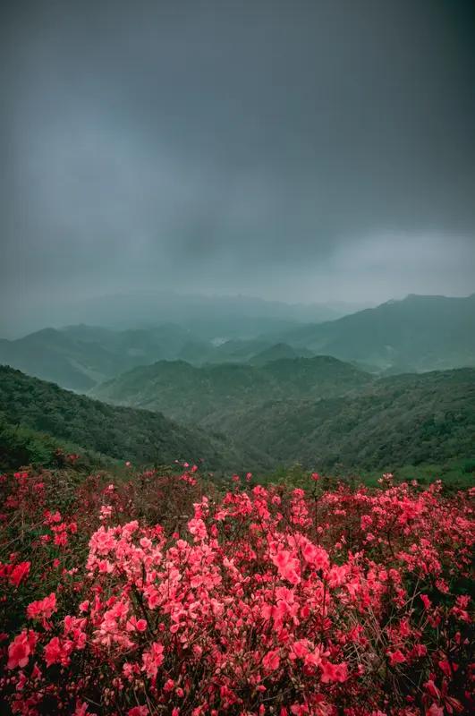 月饮千江水，请赐下联花开万山红