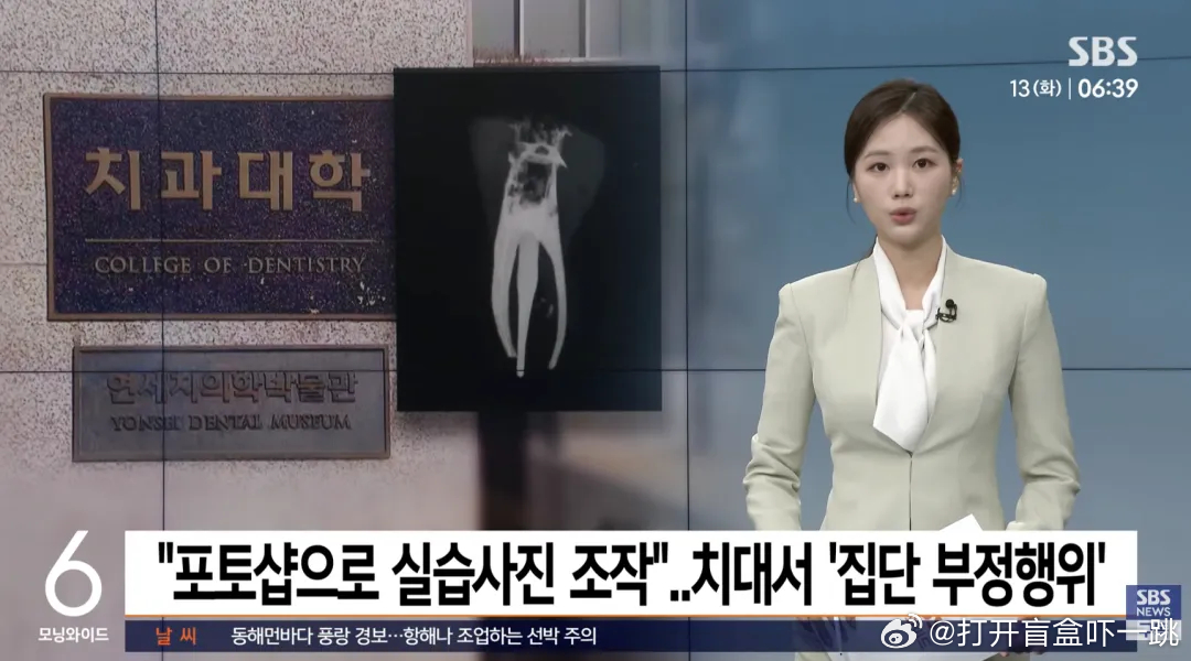 韩国顶级私立延世大学曝出学术不端难绷丑闻，牙科学院的学生们发现与其辛辛苦苦精进医