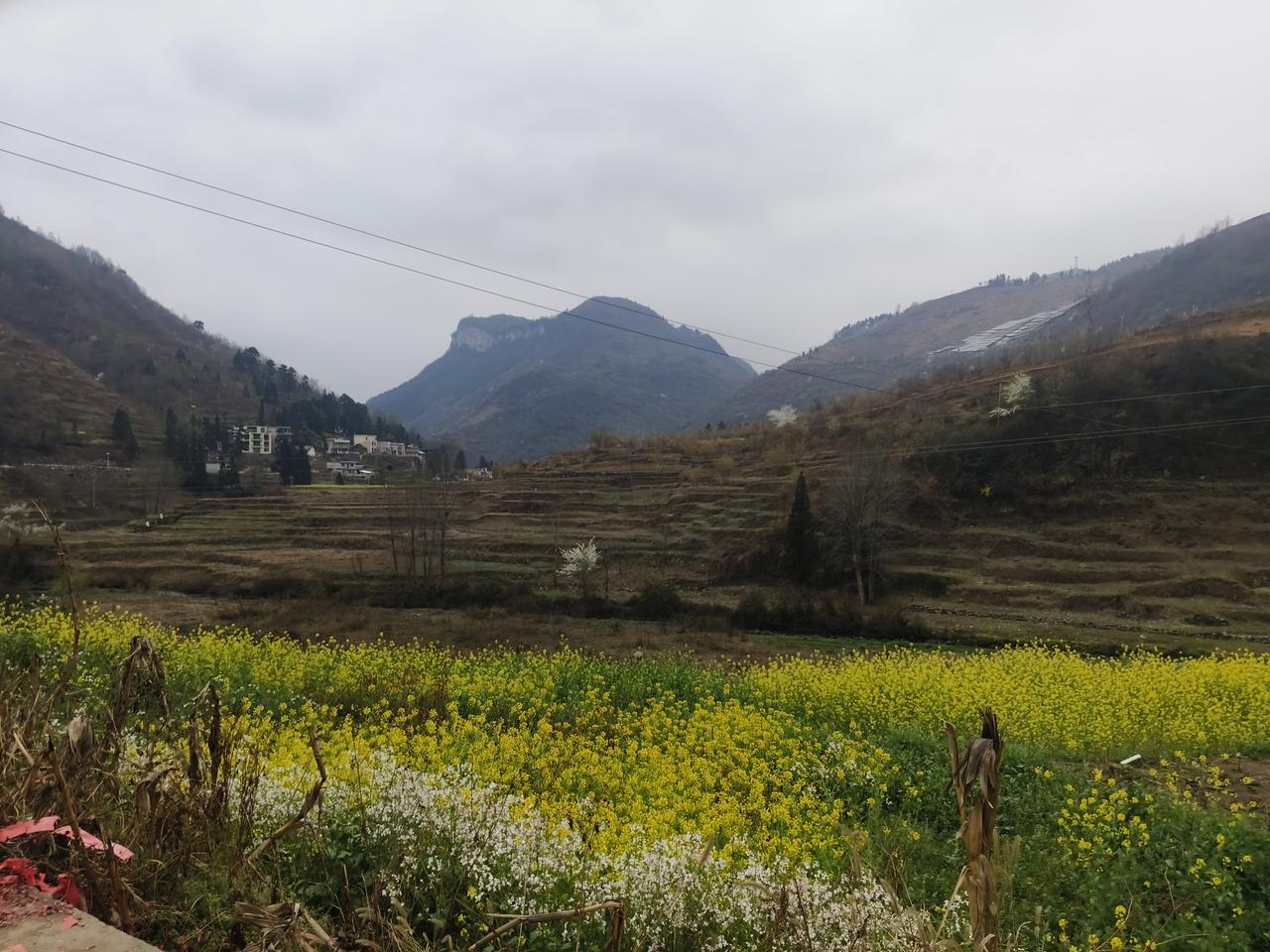 杀人偿命
欠债还钱
美国从来都没想还债
这从一开始注定灭亡
或许
真的美国解体