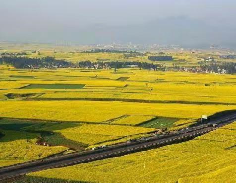 一眼沦陷🧚‍♀️🧚‍♀️🧚‍♀️