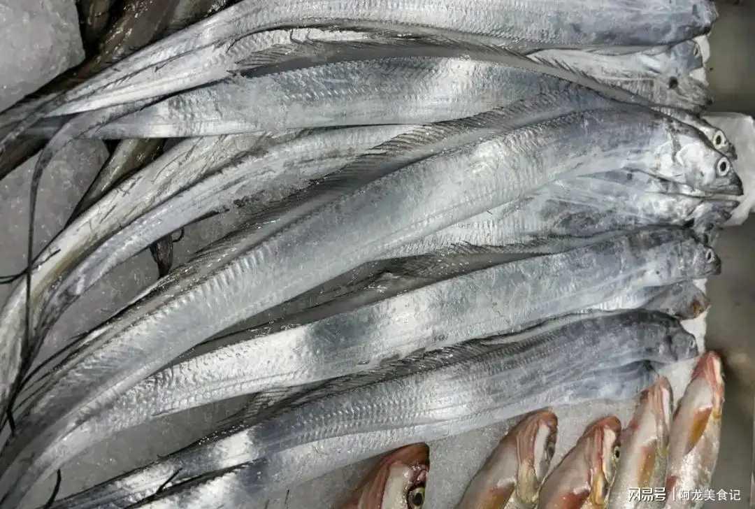 入冬后，鲫鱼鲈鱼靠边站，多吃这鱼！营养丰富，肉嫩刺少，别错过，它就是带鱼

入冬