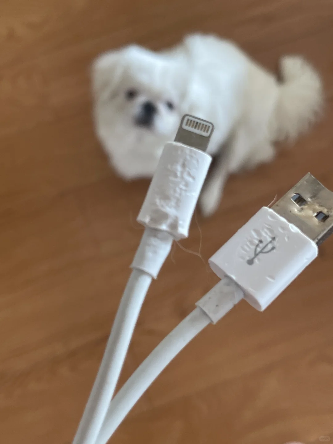 为什么家里的数据线都会莫名变形