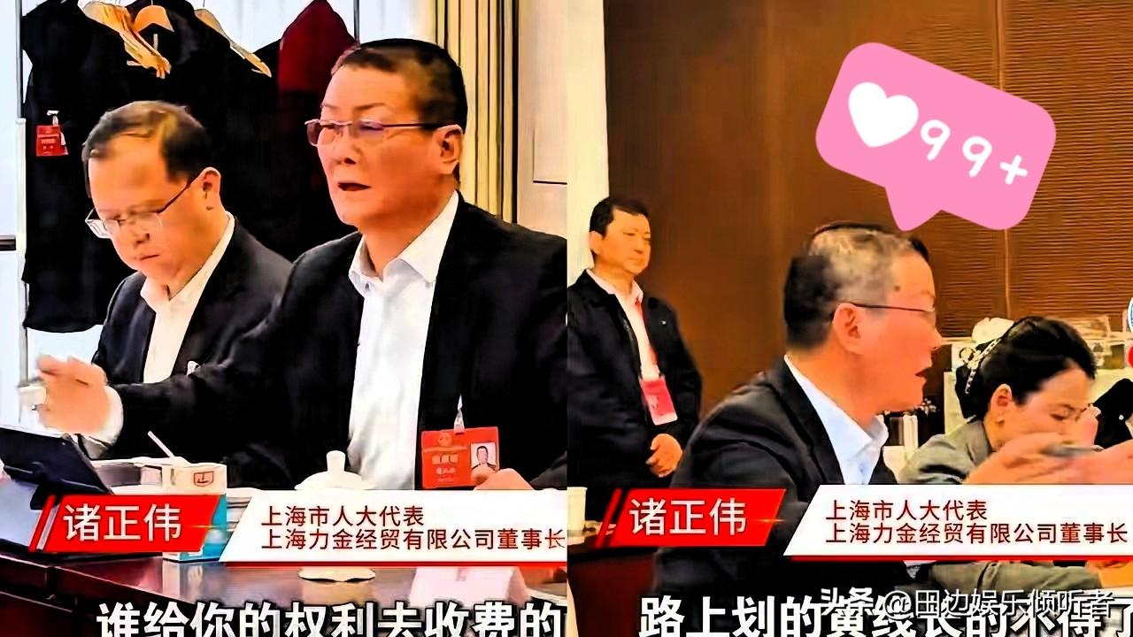 上海人大代表诸正伟这番话，听得我心里直拍大腿！

平时开车最怕啥？满大街的黄线！