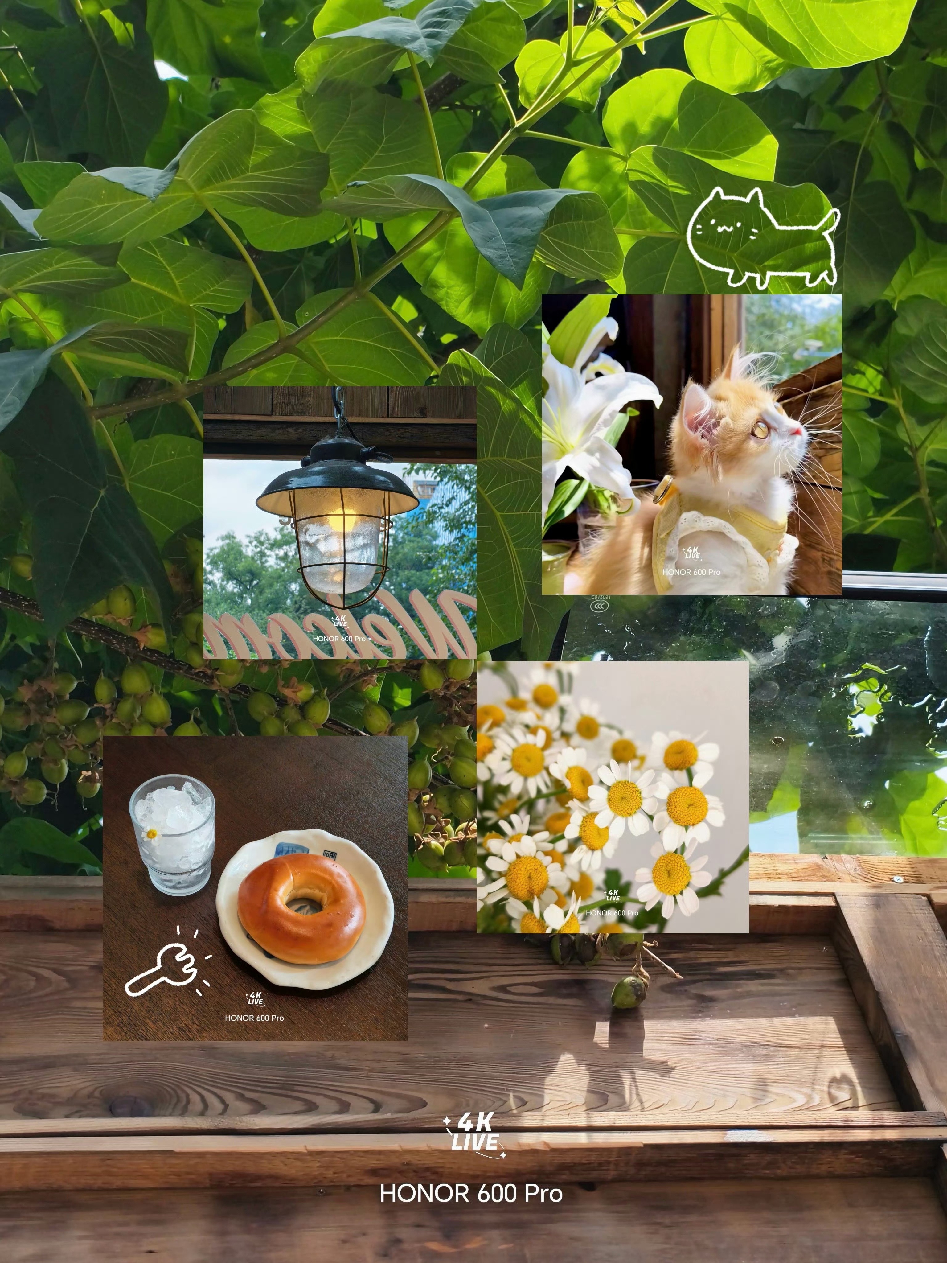 荣耀600系列拍萌宠也太会了！凭借4K Live功能抓拍毛孩子，跑动、蹦跳的灵动