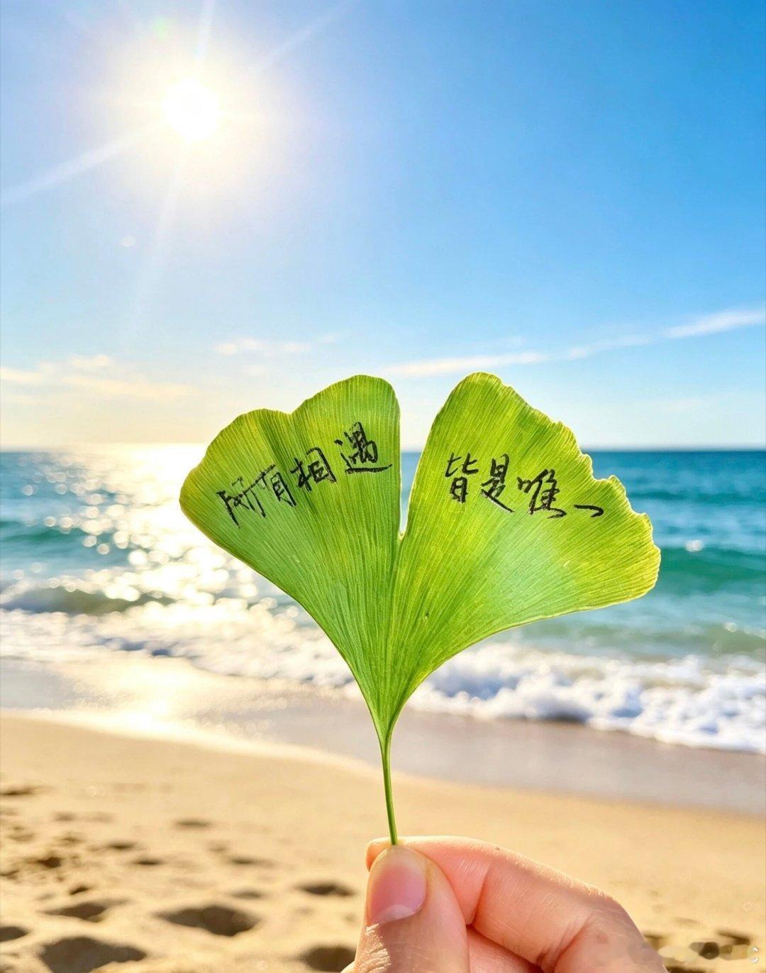 浅遇深藏写文案🌿🌿🌿让世界充满爱专题：人海辗转相逢皆是缘分，没有重复的际遇