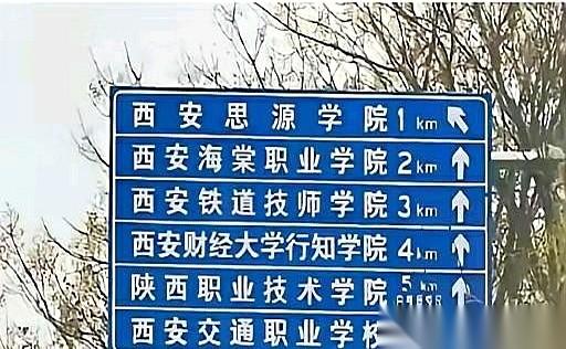 西安有条街，坊间人称“学渣路”。
你站在十字路口转一圈，职高、技校、大专……五颜