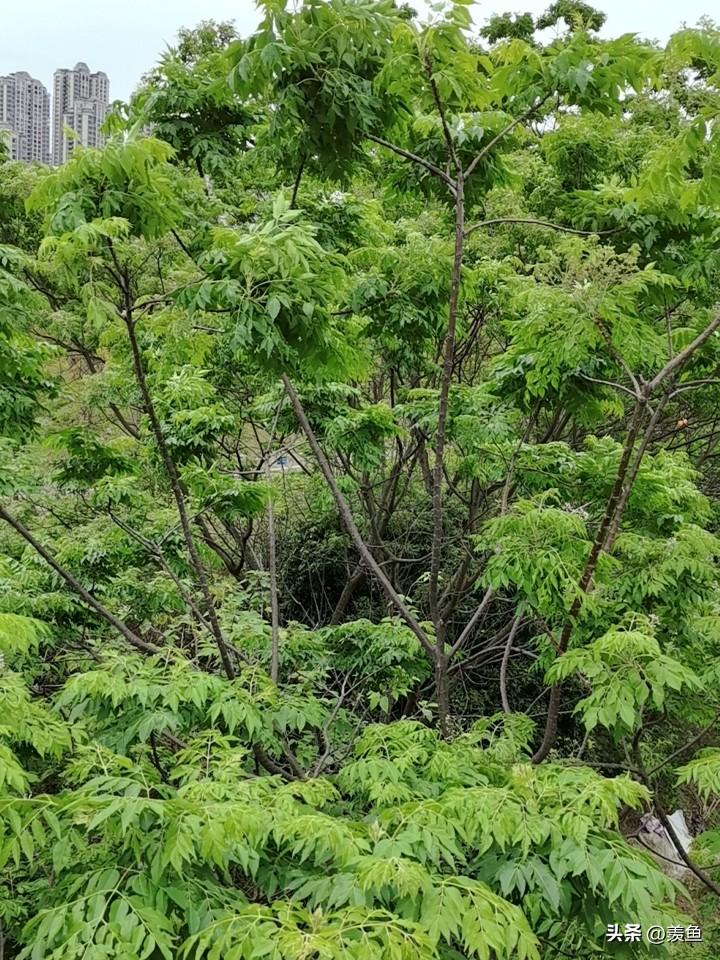 有什么比穷更可怕吗没有比穷跟可怕的了吧？穷最可怕了，有句话说穷生恶计，富长良心，