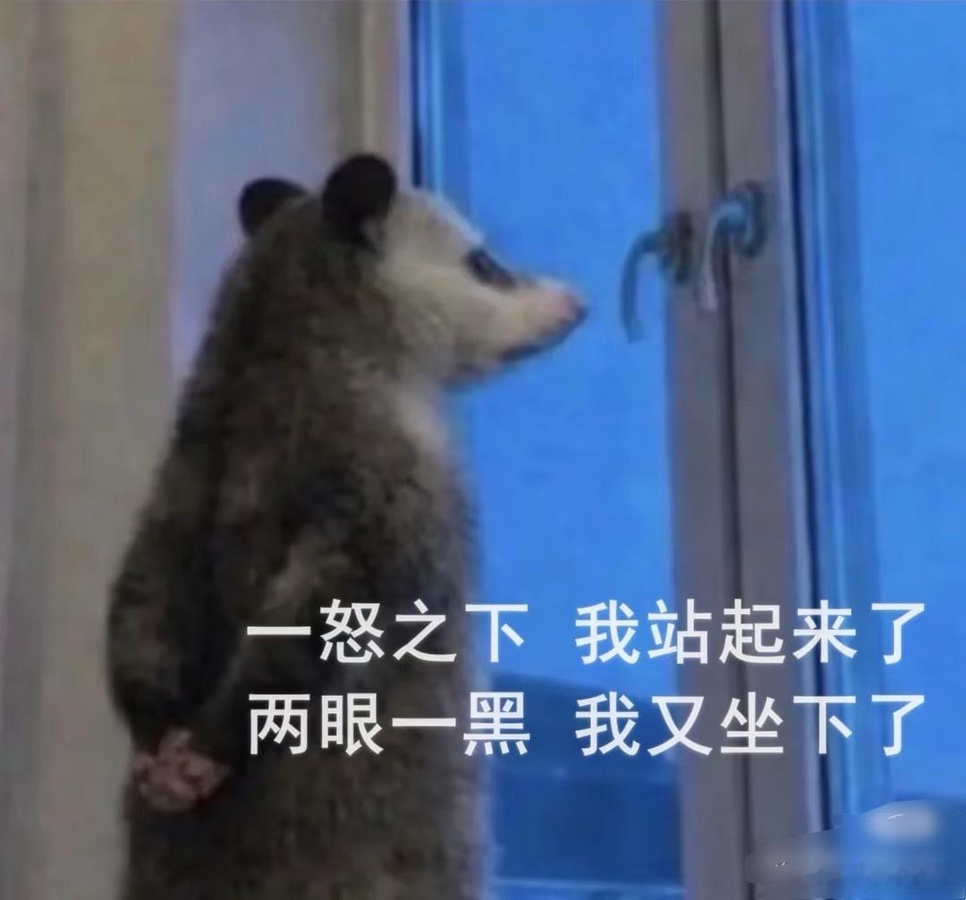 男的都是废物，嘟嘟爸给我吹个头发，烫的我嗷嗷叫，也不知道吹风机怼我脑袋那么近想干