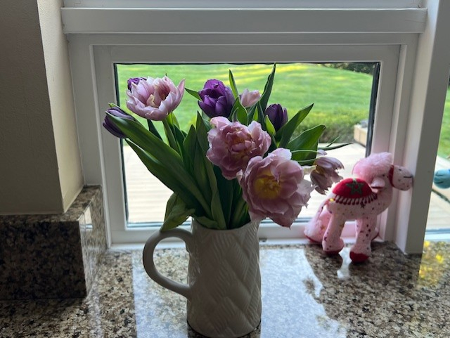 昨天天气太好了，和两个优秀的大厂女生从中午聊到晚上六点。吃了饭走了路，坐在后院里