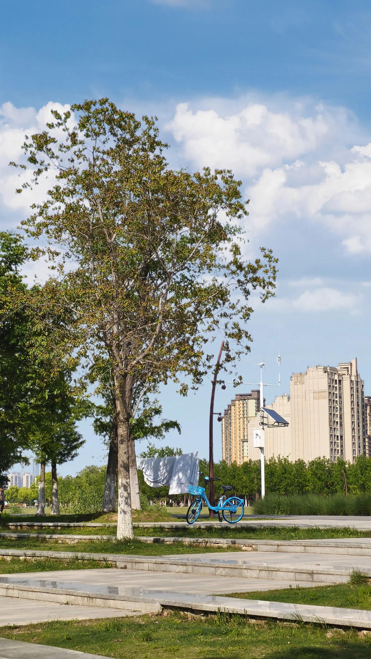 这让我明白，生命无常，不是只有老了、病了才会死亡，意外可能随时降临。所以啊，我们