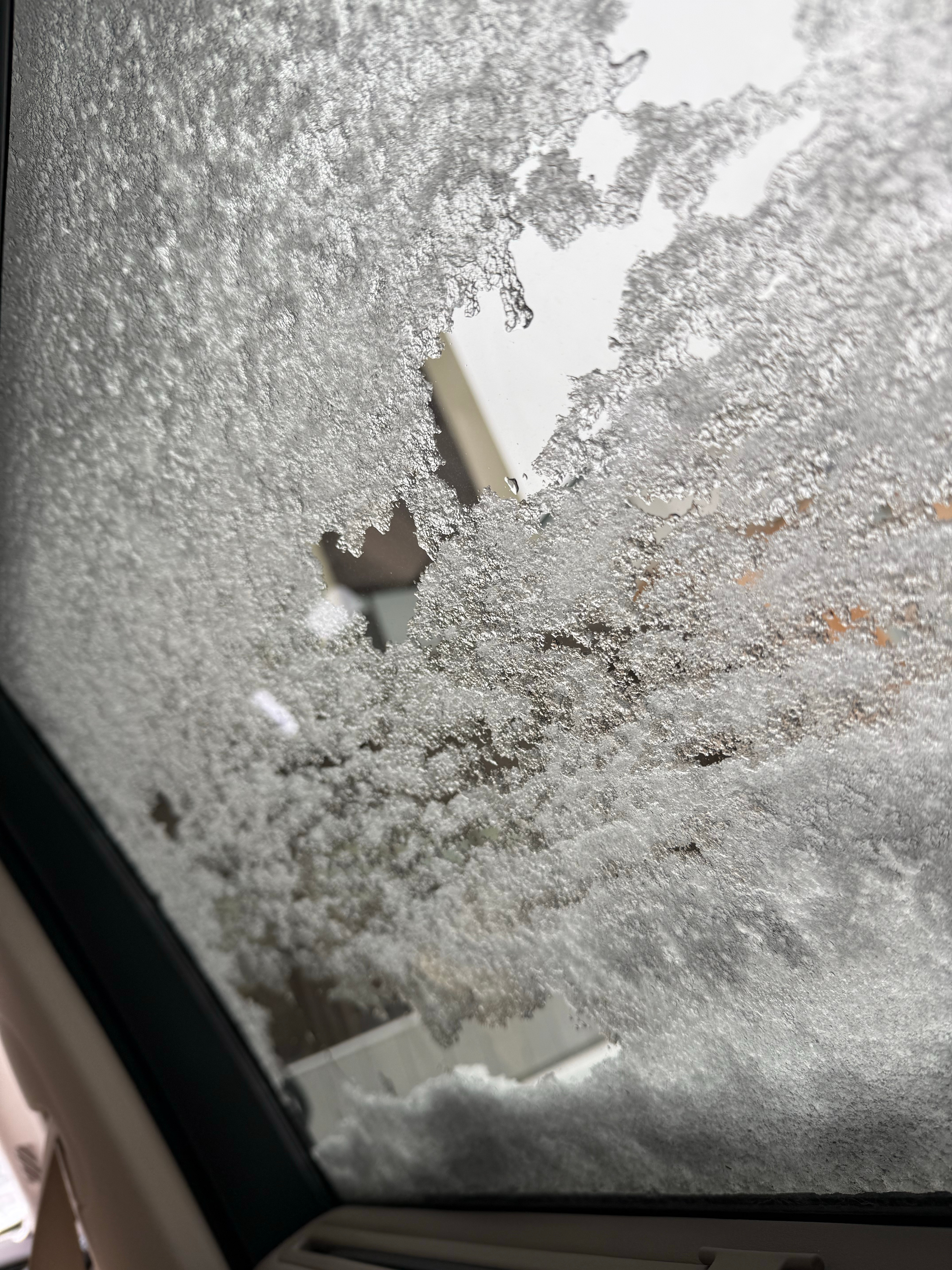 车窗外已经是一片白雪茫茫～ ​​​