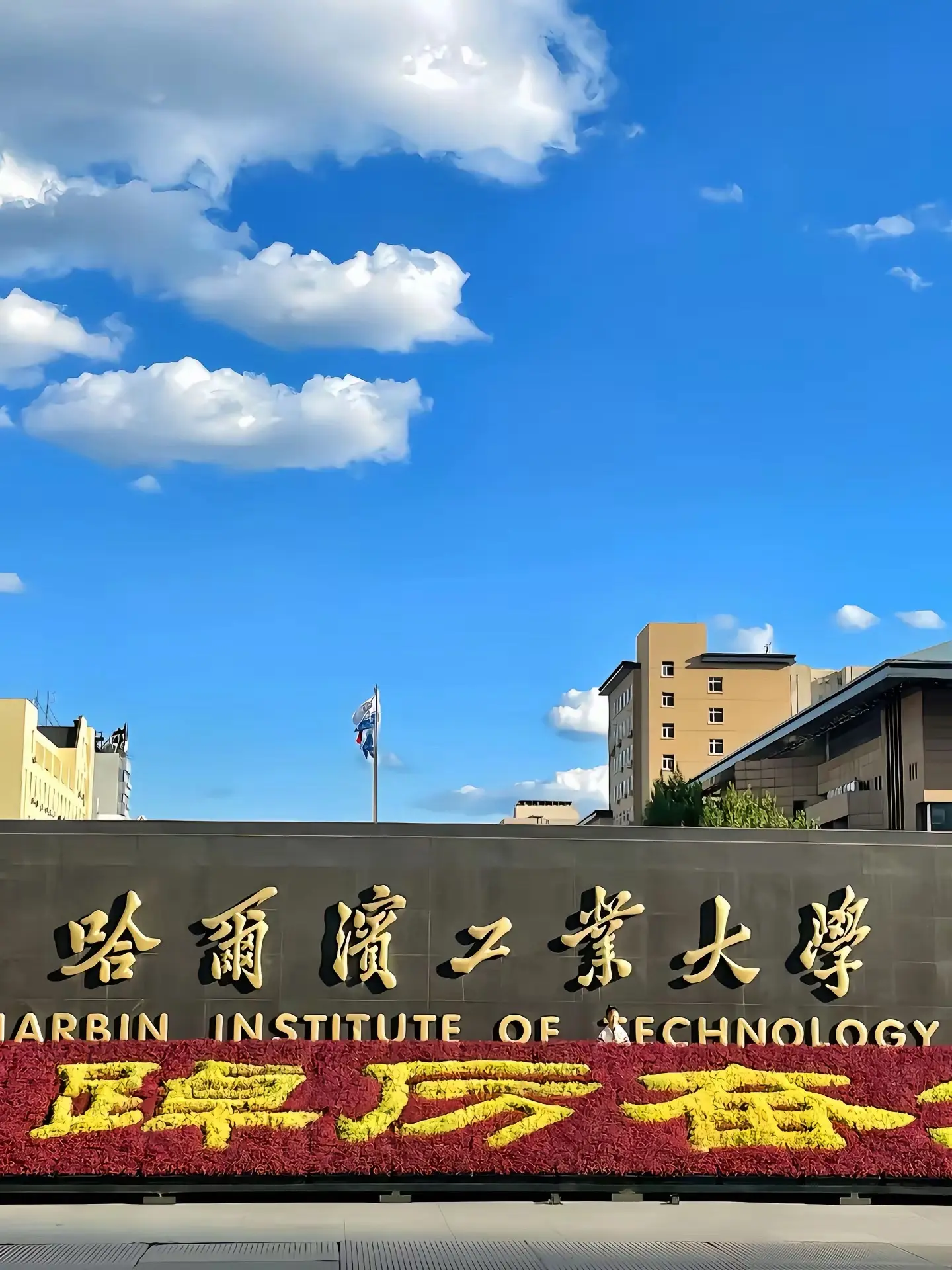 全网评价最高的985高校