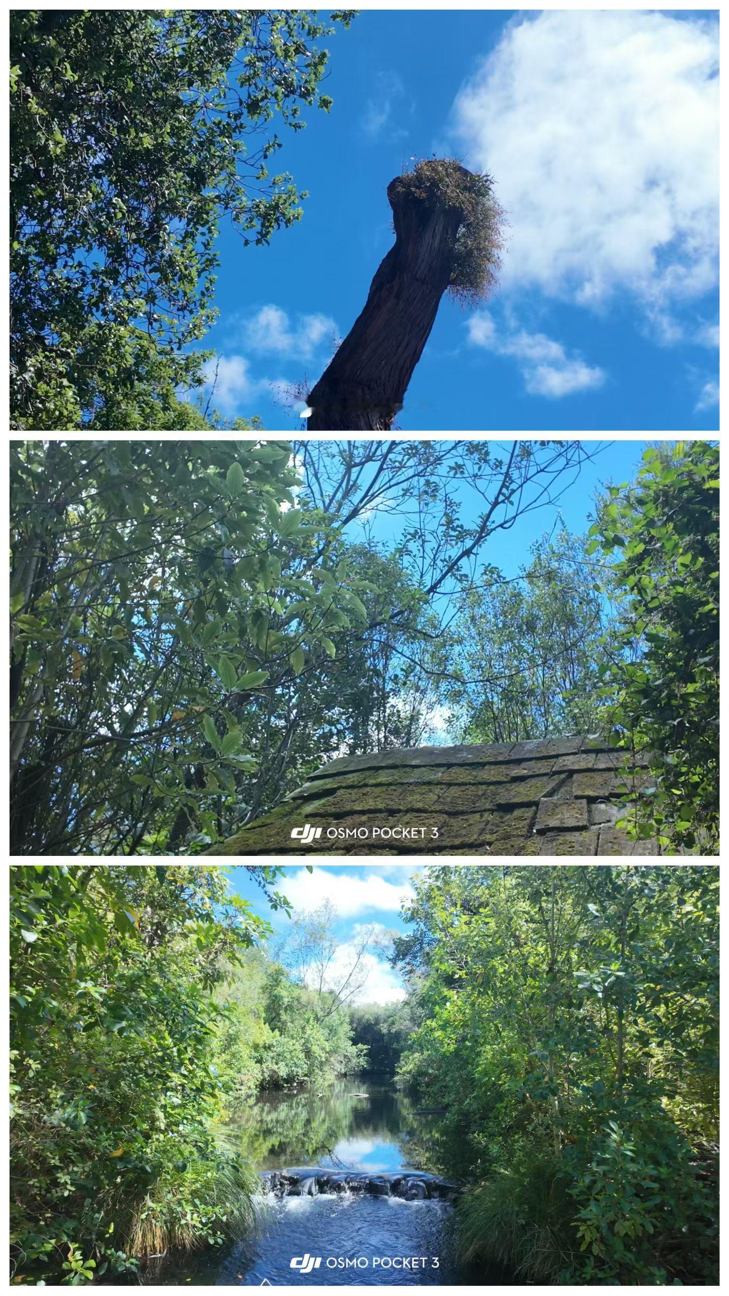 人前的风光，其实根本安顿不了自己，总有人比你更风光；人后的精致，才是自己的归宿地