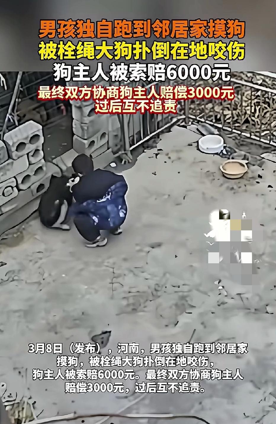近日河南郑州，一男孩独自跑到邻居家摸狗，被拴绳大狗扑倒咬伤！狗主人被索赔6000
