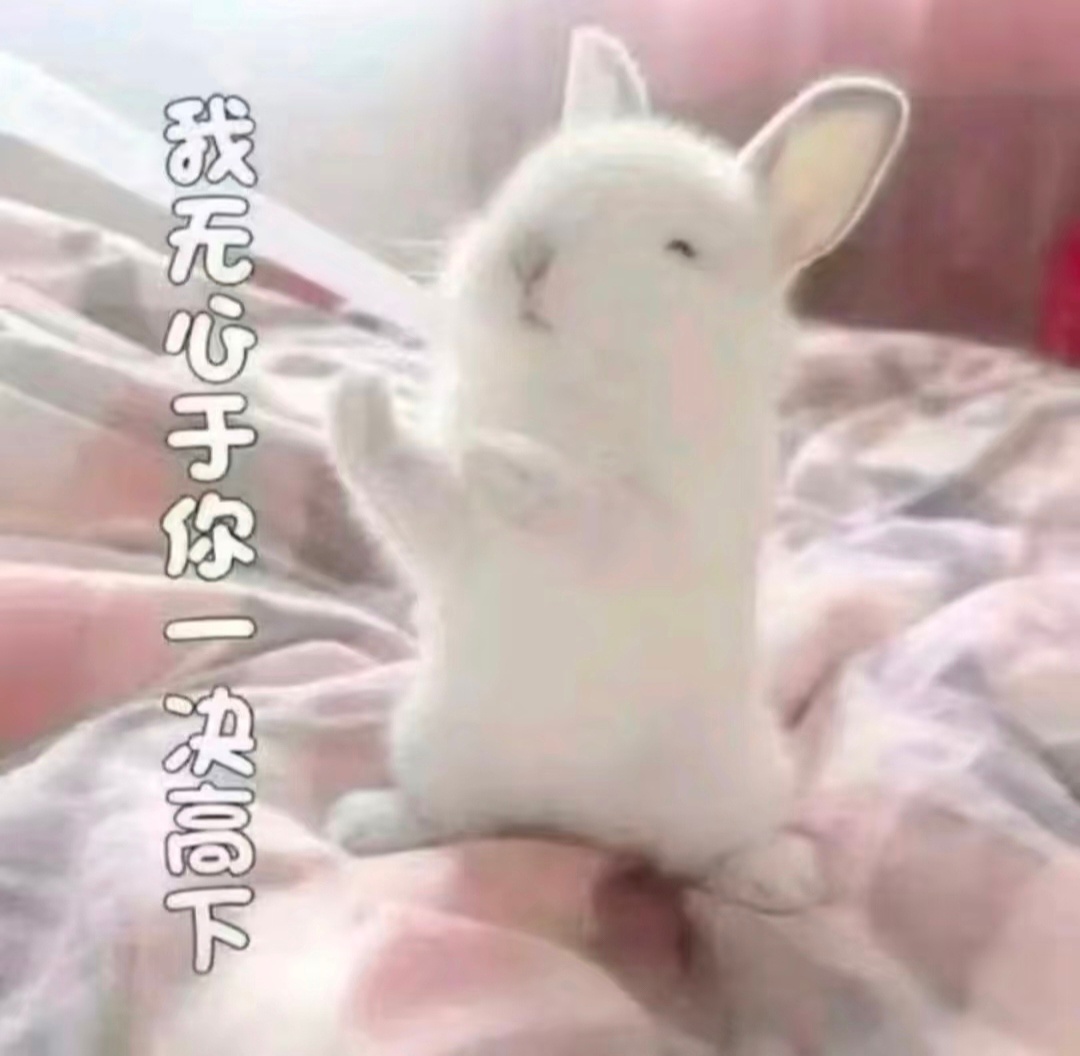 ๑ ᳐>⩊< ᳐๑萌萌头像ıllıııllıl ♡°.• 