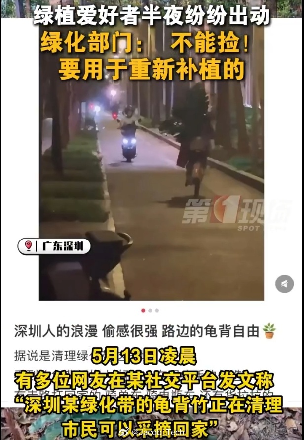 网传全深圳都在绿化带捡龟背竹 对不起哈哈哈哈，那个地方好像就在我家附近周一晚上好