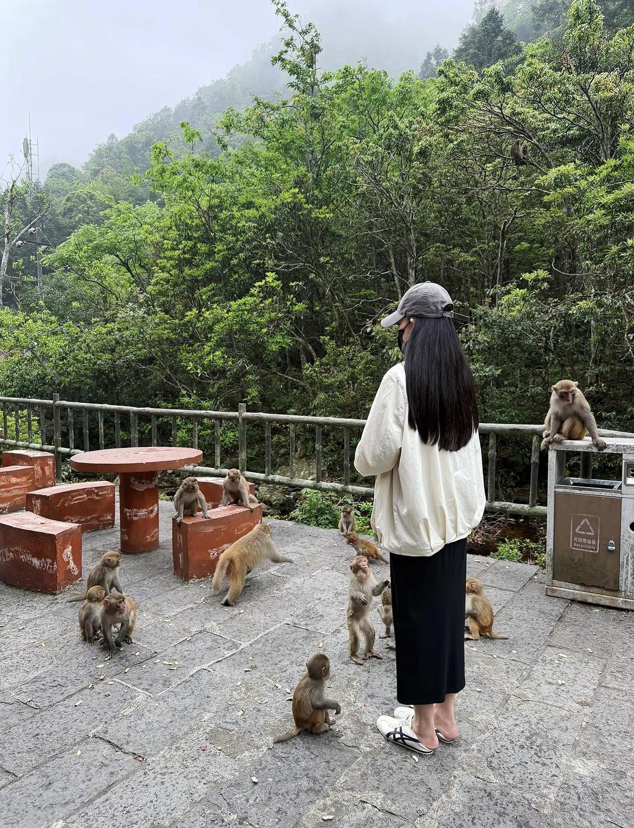 少于人纠缠，多看大自然最近很火的color walk可以交换你的照片吗穿搭oot