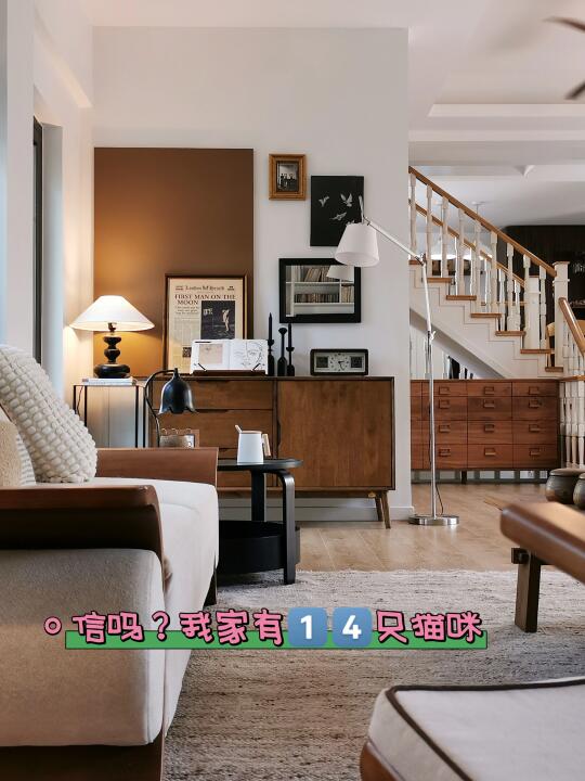 纯分享 一篇说明白14只猫咪的家如何做清洁