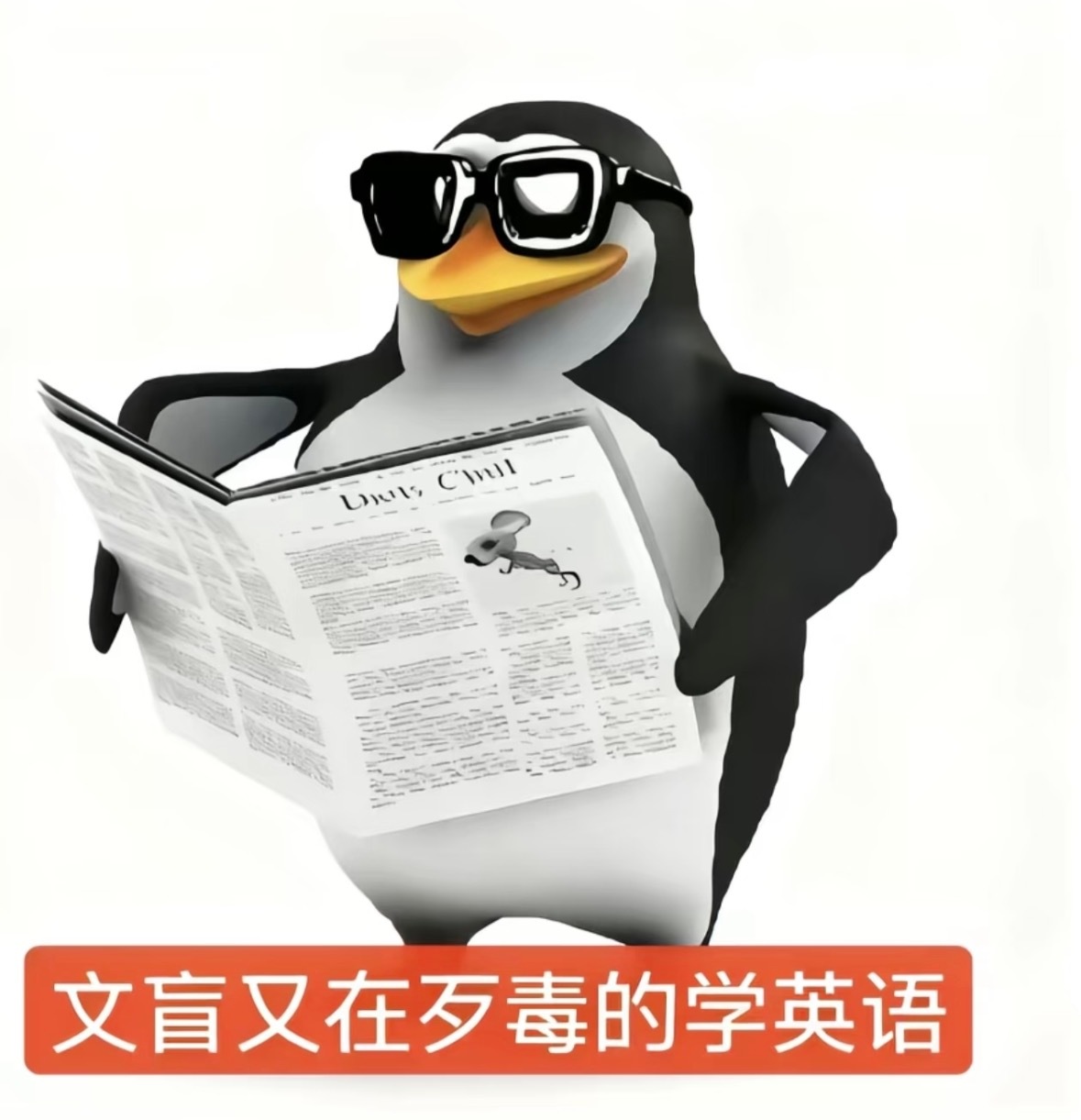 今年一卷Emily这个恋爱脑续写直接让无数考生破防，刷到好多人说英语越学越崩溃。