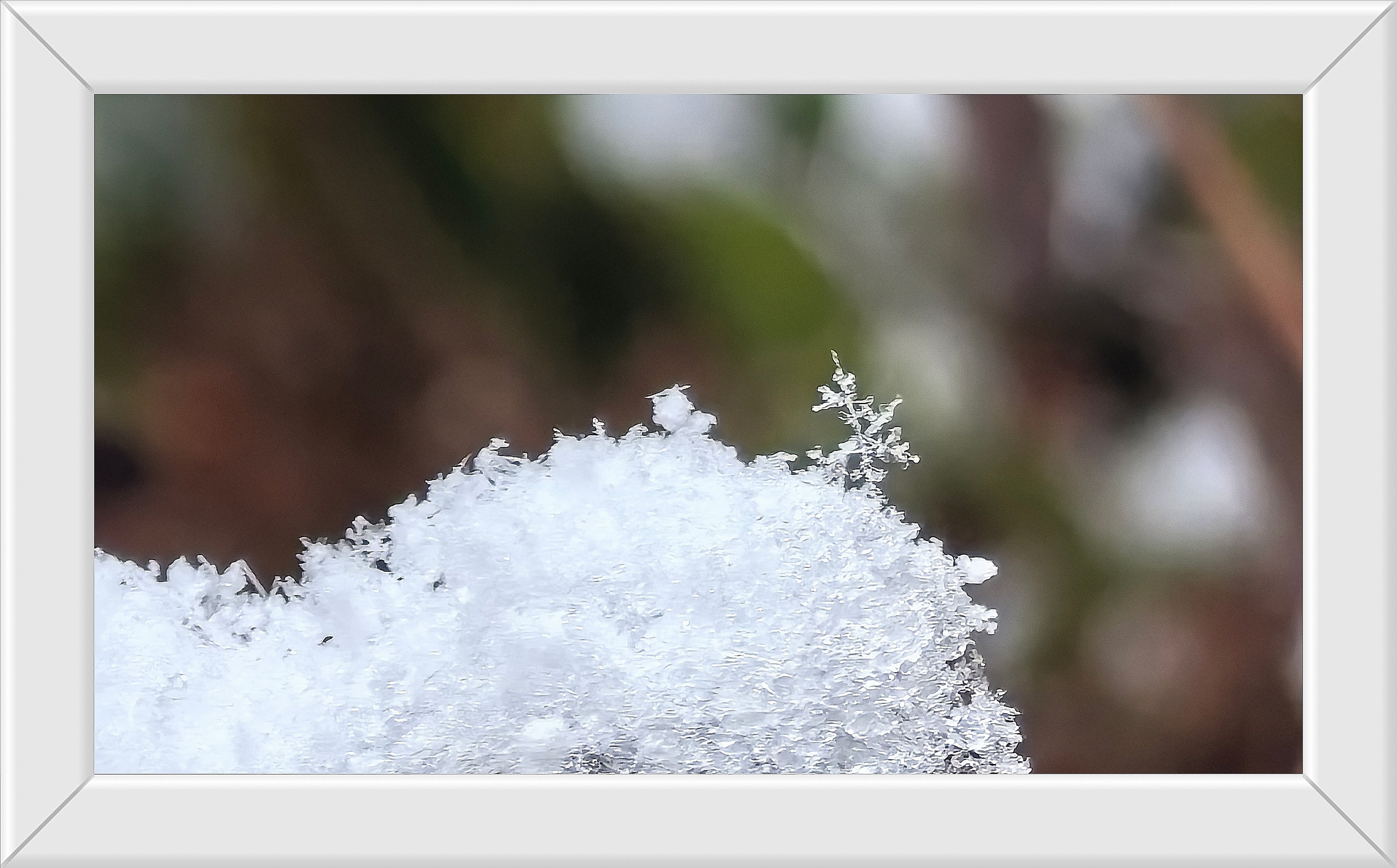 昆明下雪了 